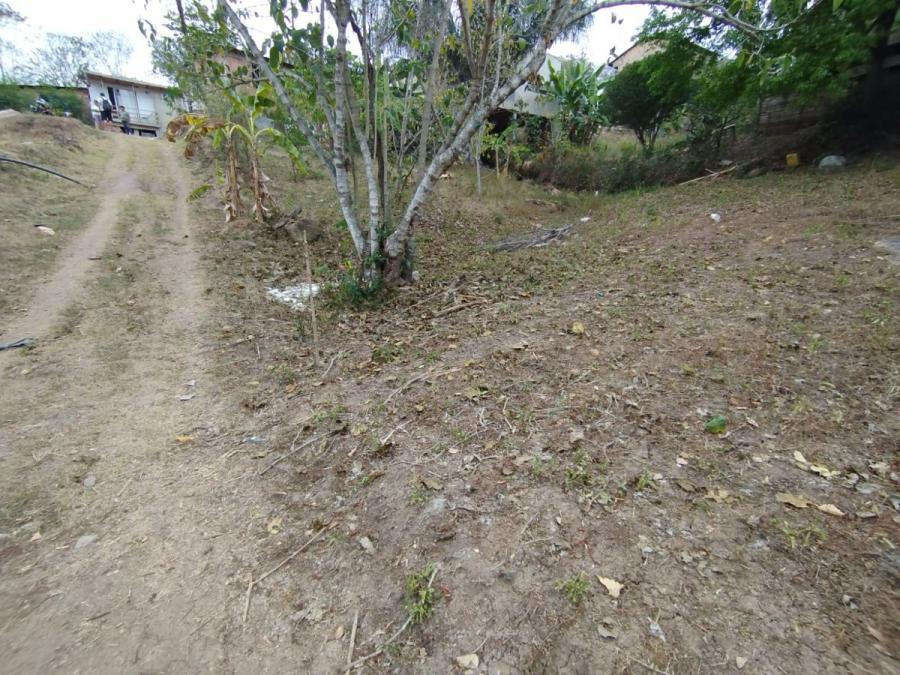 Foto Lote en Venta en La Mesa, Cundinamarca - $ 65.000.000 - LOV211702 - BienesOnLine