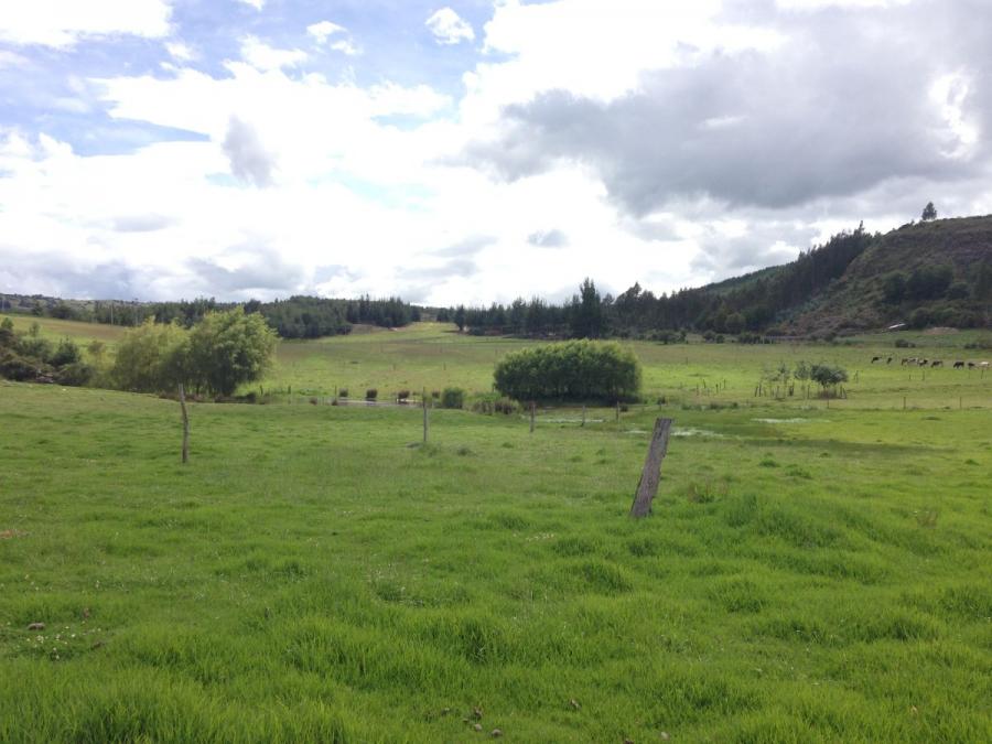 TERRENO EXCELENTE EN EL PANTANO DE VARGAS