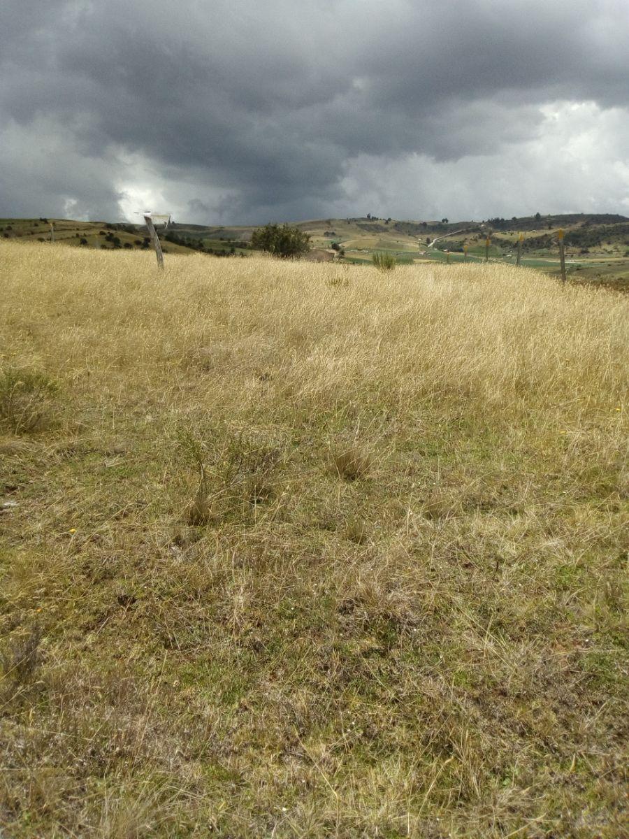 Lote en Venta en  Sogamoso, Boyacá