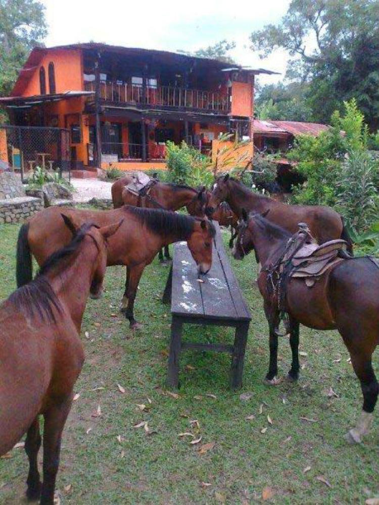 vendo finca cafetera