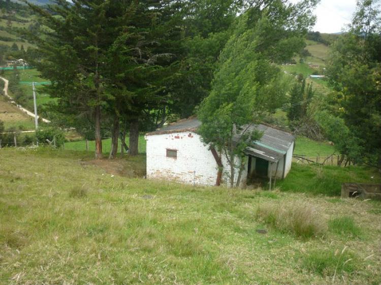 Vendo FINCA en GUASCA arriba de AGUASCALIENTES 