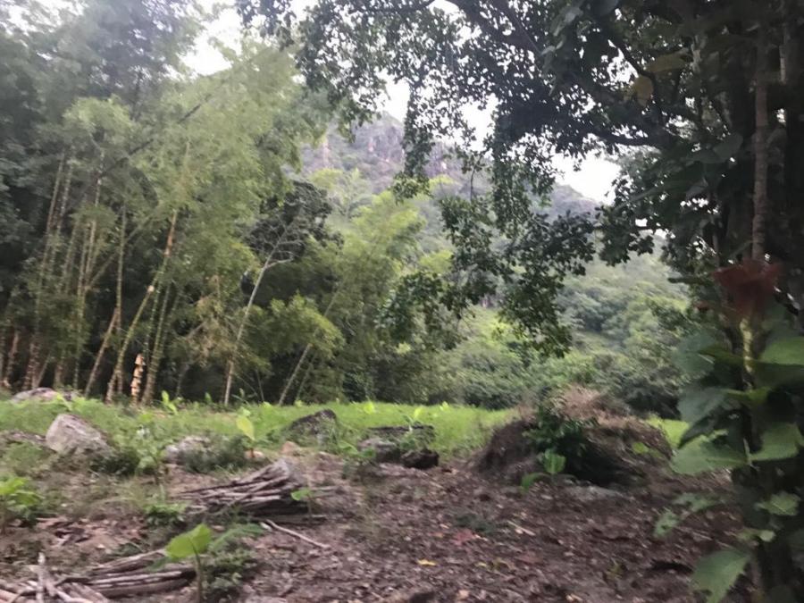 VENDO FINCA EN NILO CUNDINAMARCA