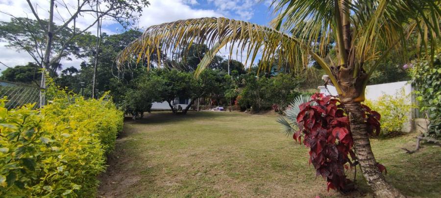 Foto Finca en Venta en Villeta, Villeta Cundinamarca, Cundinamarca - $ 390.000.000 - FIV198264 - BienesOnLine