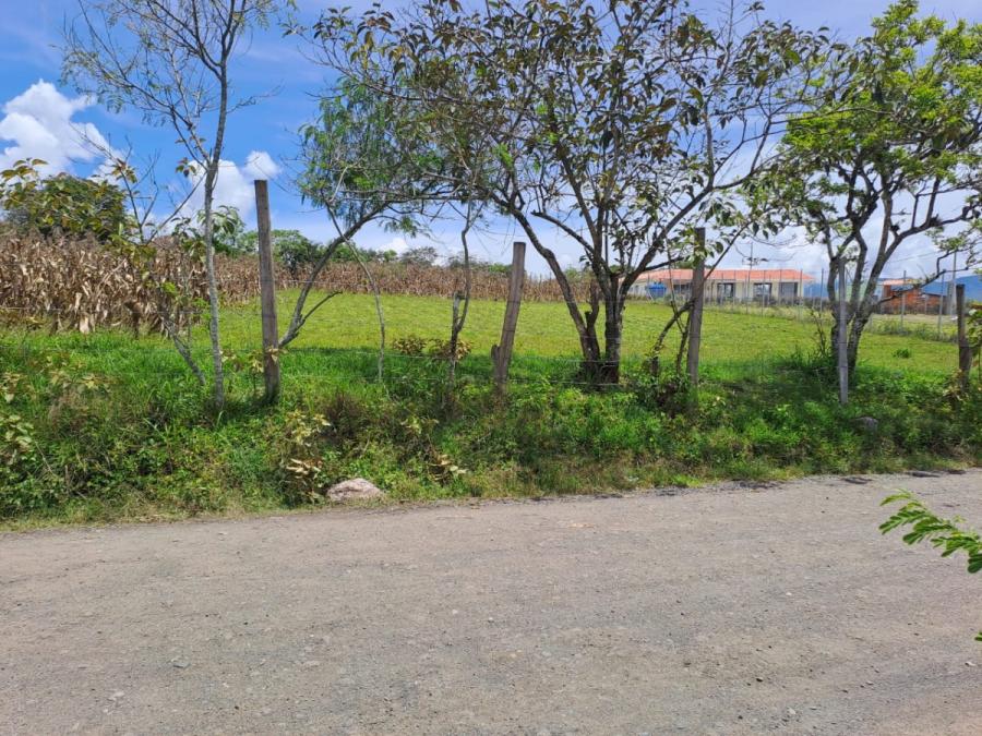 Foto Lote en Venta en Vereda Cimarrones, Chachagui, Nariño - $ 350.000.000 - LOV201535 - BienesOnLine