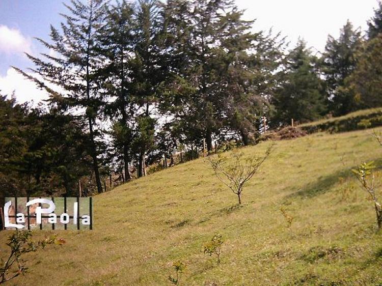 Foto Lote en Venta en El Peñol, Antioquia - $ 135.000.000 - LOV60306 - BienesOnLine