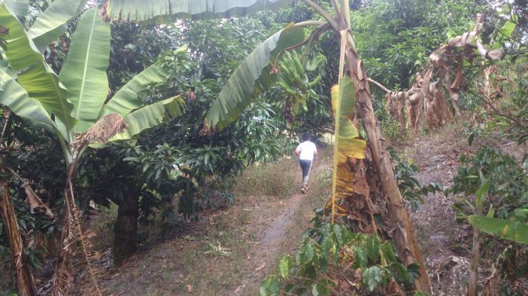 vendo lote en la mesa cundinamarca