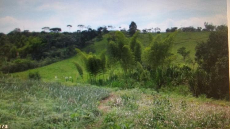 Foto Lote en Venta en MONDOMITO VEREDA EL TURKO, Cauca - $ 60.000.000 - LOV151070 - BienesOnLine