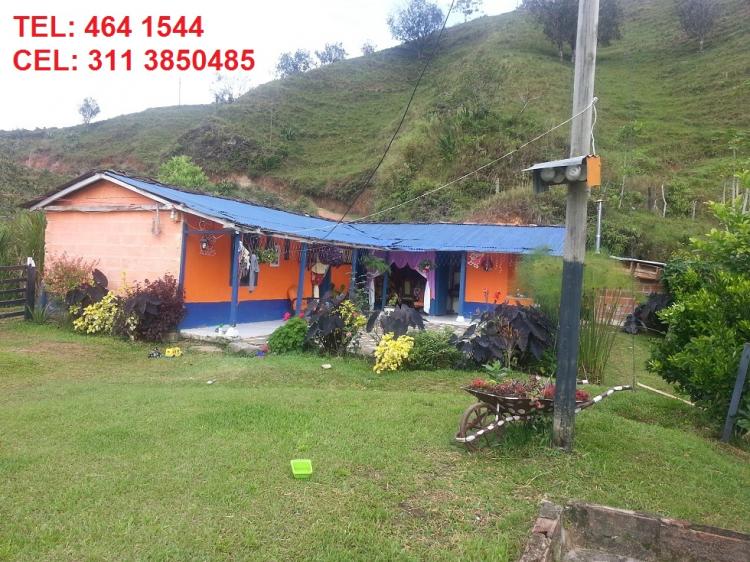 Vendo o cambio Finca En San Roque Antioquia