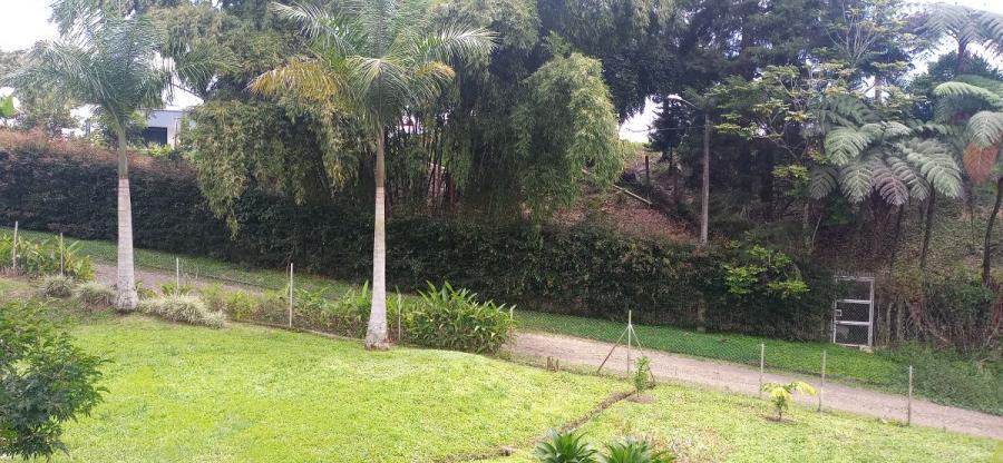 Foto Casa en Venta en Pereira, Risaralda - $ 1.100.000.000 - CAV210718 - BienesOnLine