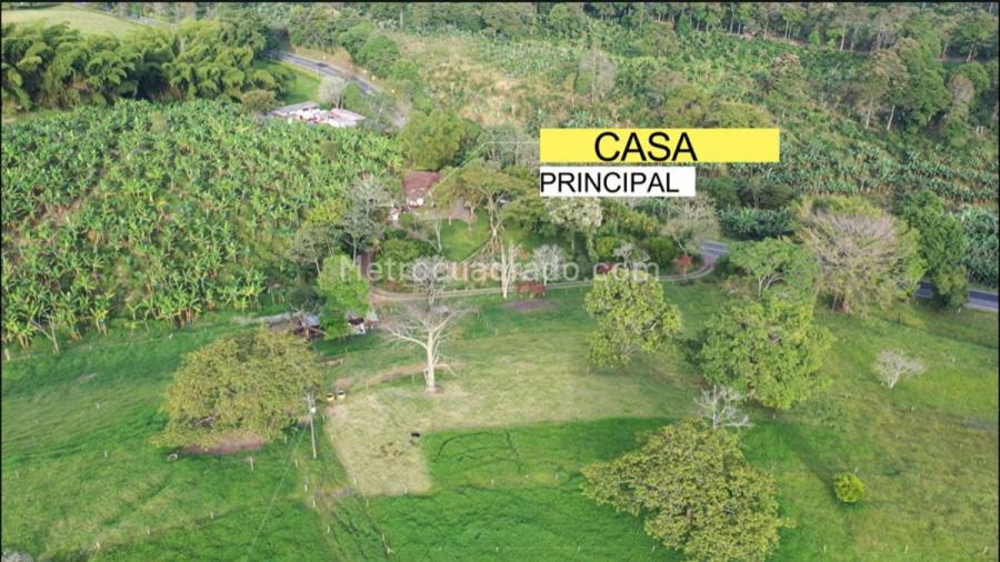 Foto Finca en Venta en Combia, Manizales, Caldas - $ 6.300.000.256 - FIV210772 - BienesOnLine