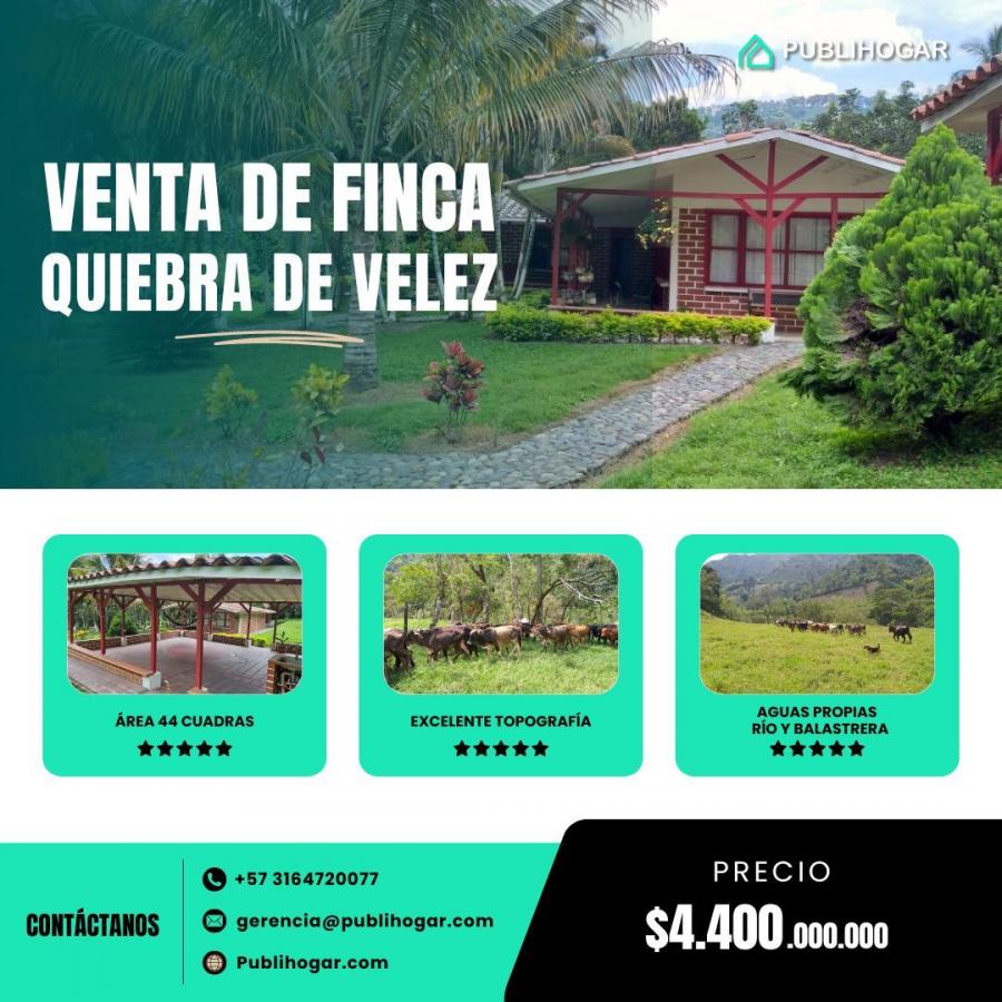 Venta de finca ganadera y de sembrados en Manizales sector Quiebra de V?lez