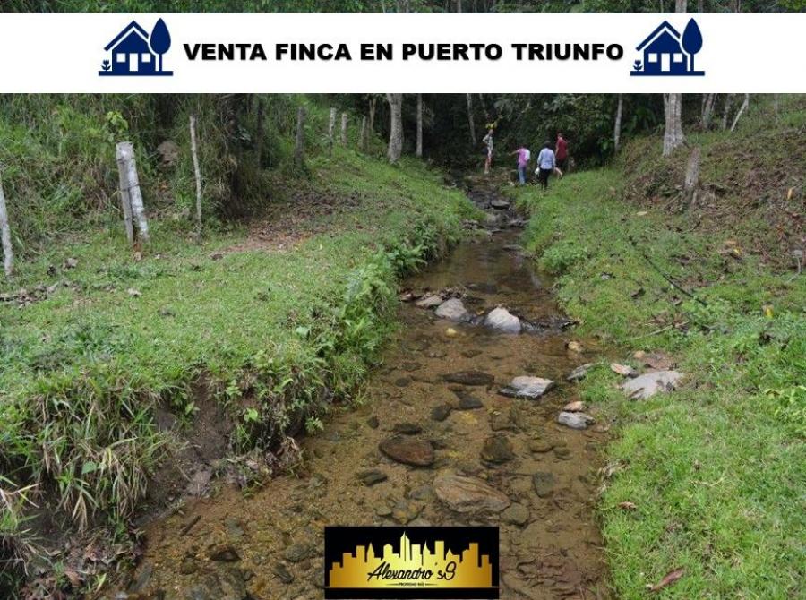 Foto Finca en Venta en Doradal, San luis  y Puerto Triunfo, Antioquia - $ 924.000.000 - FIV172971 - BienesOnLine