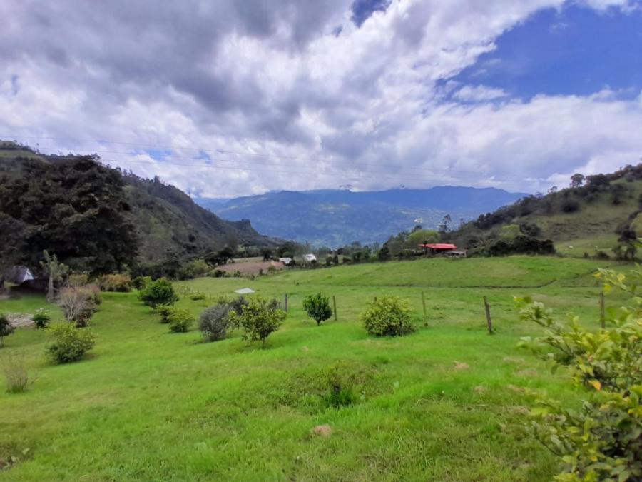 Foto Lote en Venta en Vereda La Victoria, Choachi, Cundinamarca - 1 hectareas - $ 620.000.000 - LOV204265 - BienesOnLine