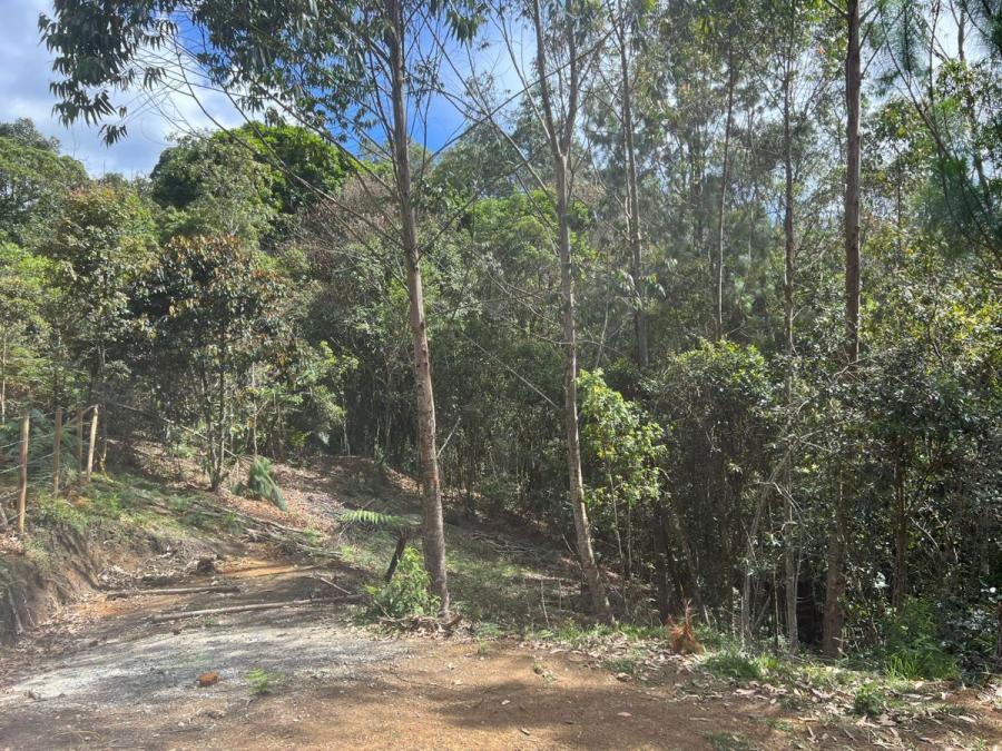 Venta de Lote en Guarne, Vereda El Rosario.