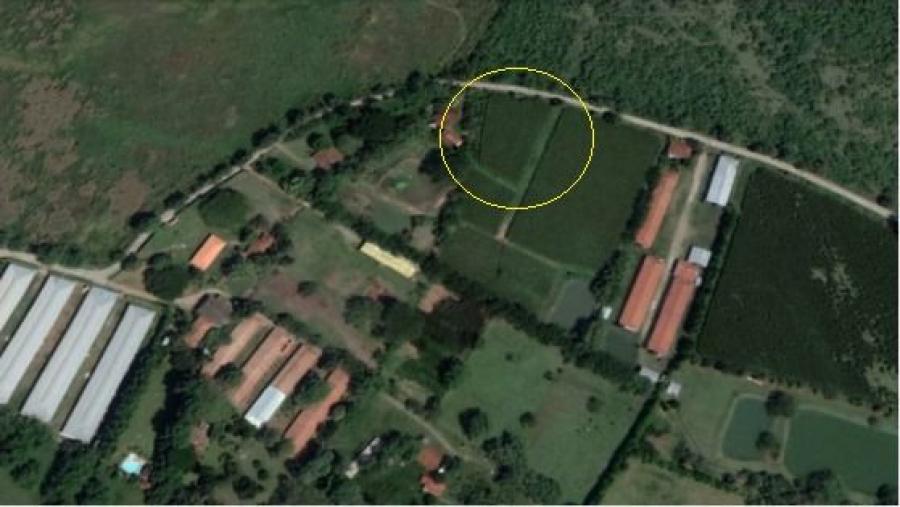 Foto Lote en Venta en Los Chancos, Tuluá, Valle del Cauca - $ 350.000.000 - LOV176586 - BienesOnLine