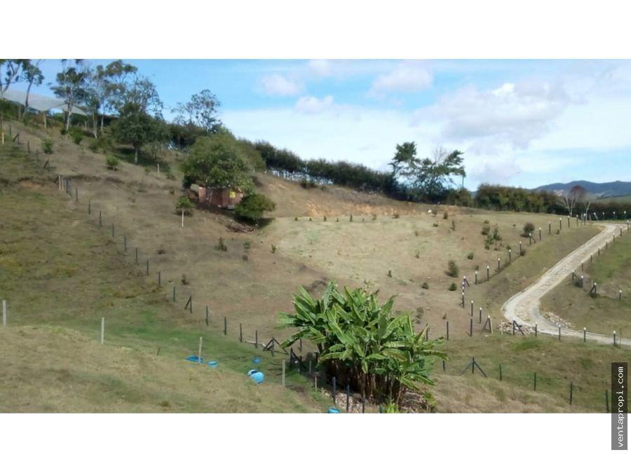 Foto Lote en Venta en vereda Chocho Mayo, Marinilla, Antioquia - $ 723 - LOV185243 - BienesOnLine