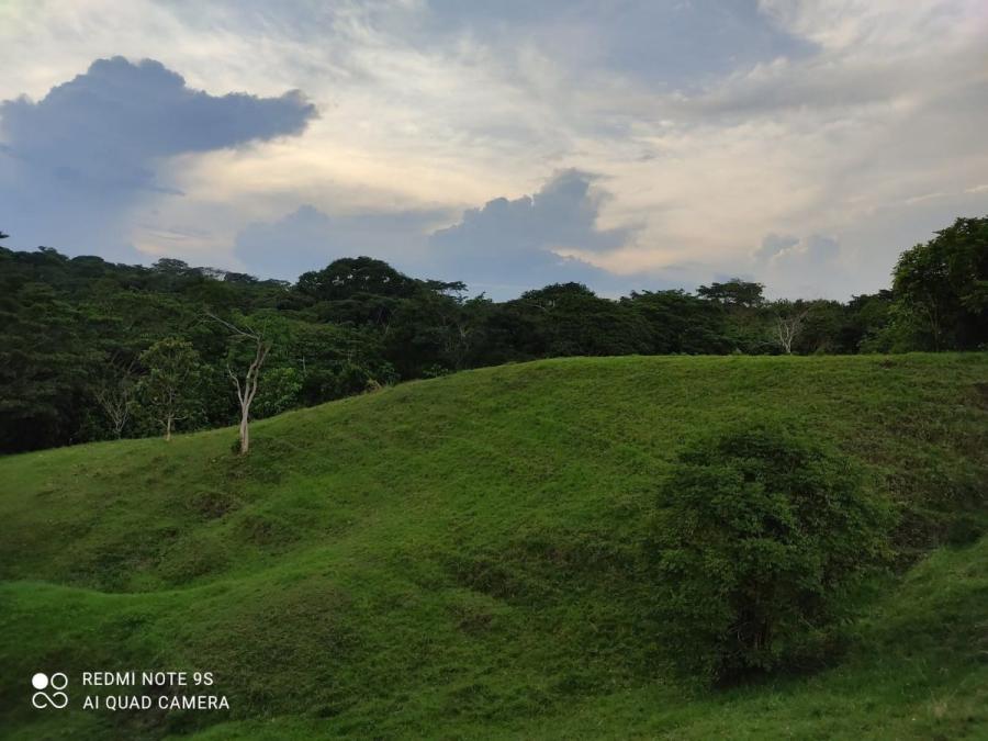 Foto Lote en Venta en Puerto Berr, Antioquia - $ 243.000.000 - LOV210171 - BienesOnLine