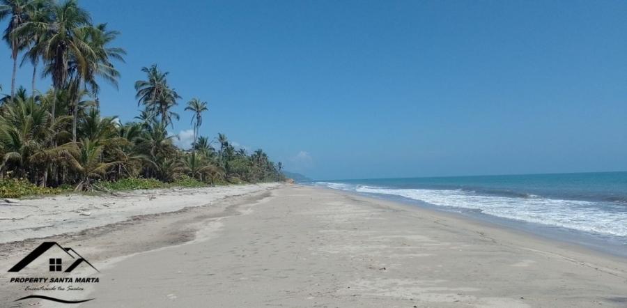 Foto Lote en Venta en playa de Palomino, Dibulla, La Guajira - $ 800.000.000 - LOV210400 - BienesOnLine