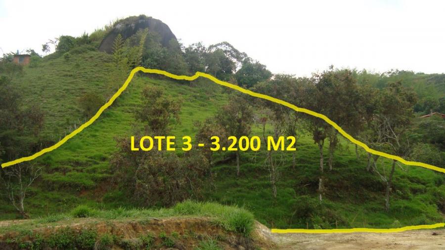 Foto Local en Venta en vereda el morro, Guatapé, Antioquia - $ 90.000.000 - LOV170336 - BienesOnLine