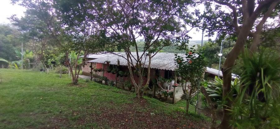 Foto Finca en Venta en El Queremal, Dagua, Valle del Cauca - $ 230.000.000 - FIV210560 - BienesOnLine