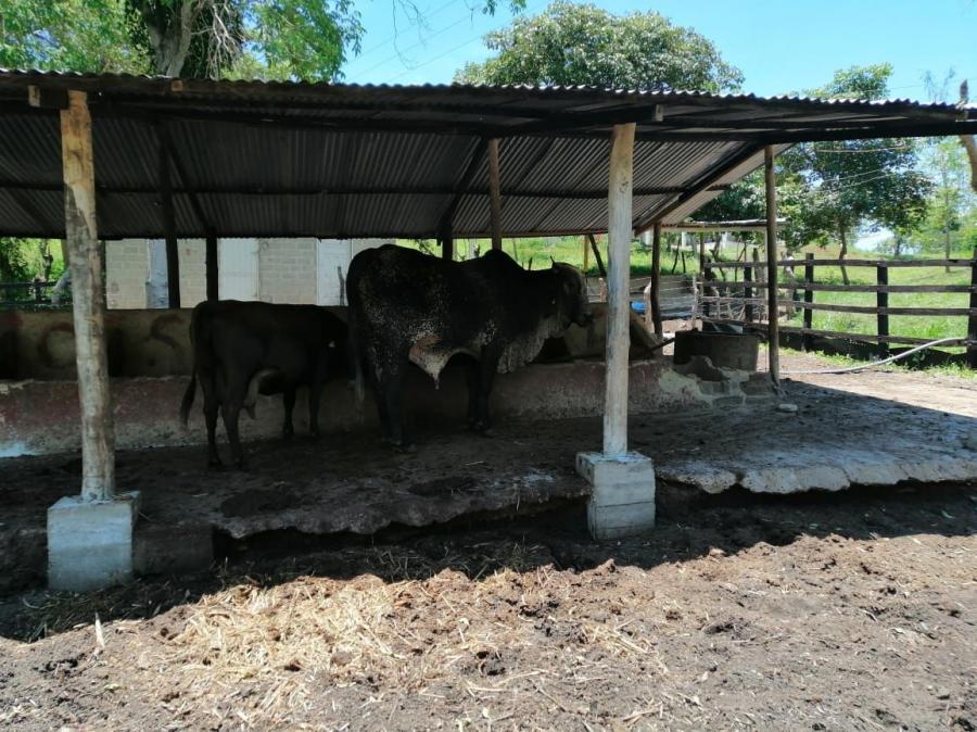 VENTA FINCA