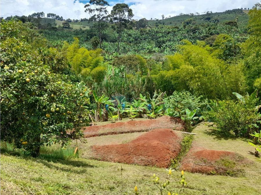 VENTA FINCA EN JARDIN VEREDA CASIANA