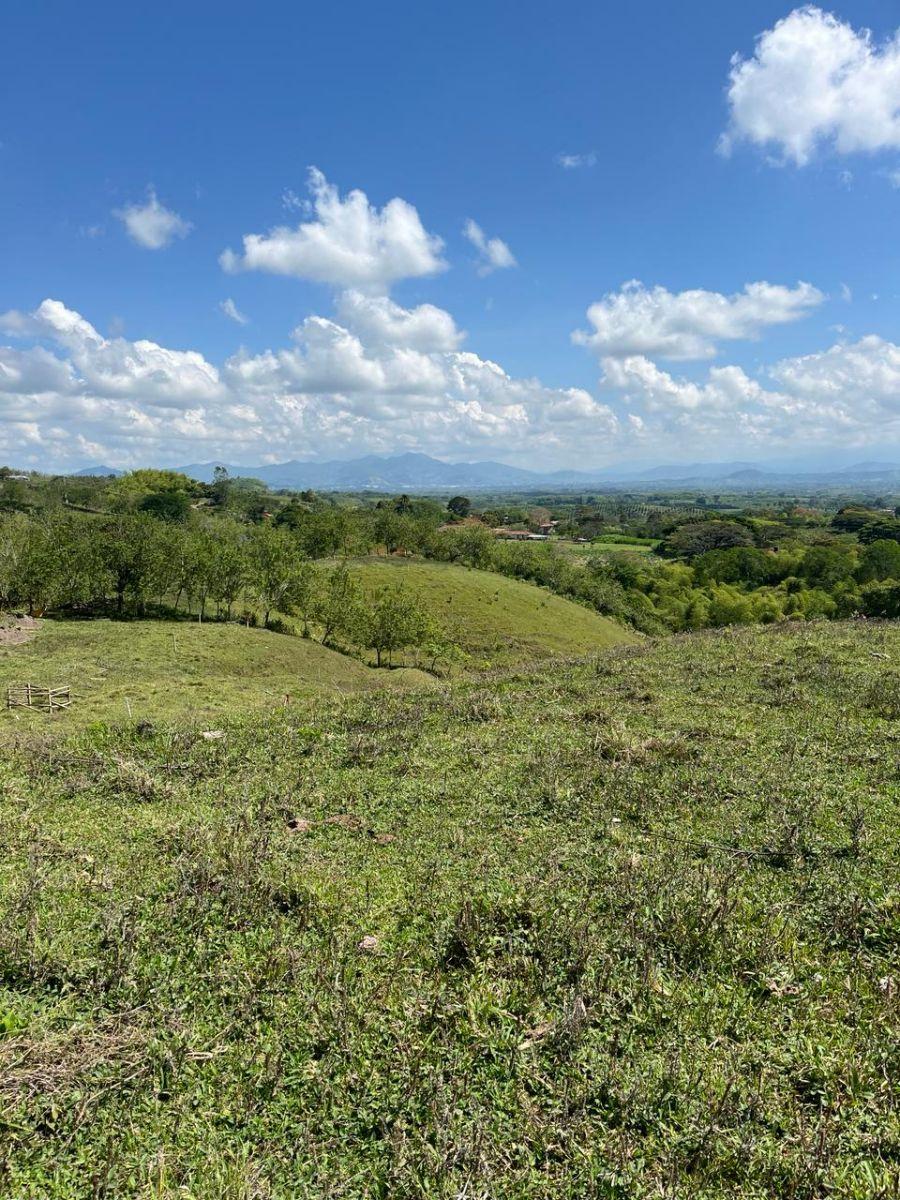 Lote en Venta en CERCA A ALCALA Cartago, Valle del Cauca