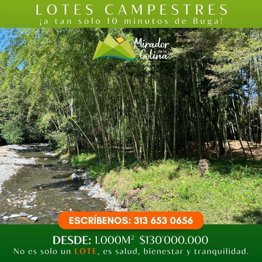 Foto Lote en Venta en Mirador de la Colina, Mirador de la Colina, Valle del Cauca - $ 130.000.000 - LOV207099 - BienesOnLine