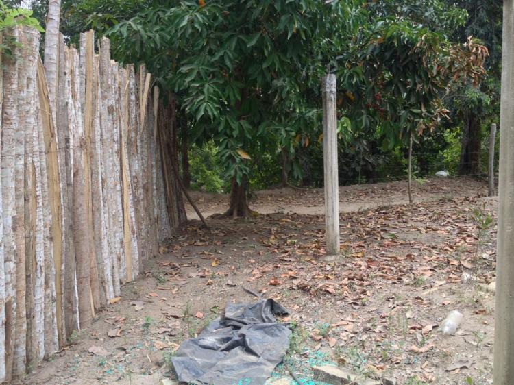 VENTA TERRENO EN MUNICIPIO DE DIBULLA, LA GUAJIRA, COLOMBIA