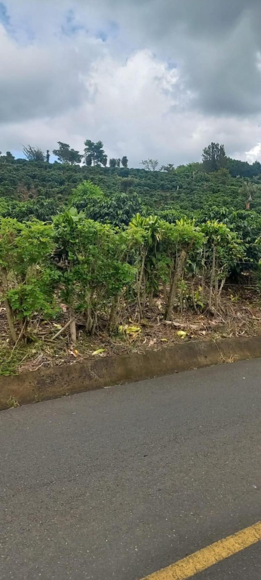 Foto Finca en Venta en San Rafael de Heredia Costa Rica, San Rafael, Heredia - 18 hectareas - ¢ 13.000 - FIV107433 - BienesOnLine