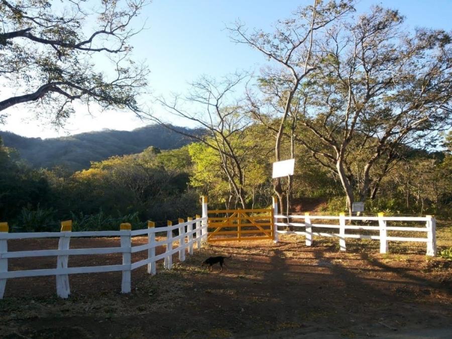 Foto Finca en Venta en Santa Cruz, Guanacaste - 136 hectareas - U$D 680.000 - FIV108553 - BienesOnLine