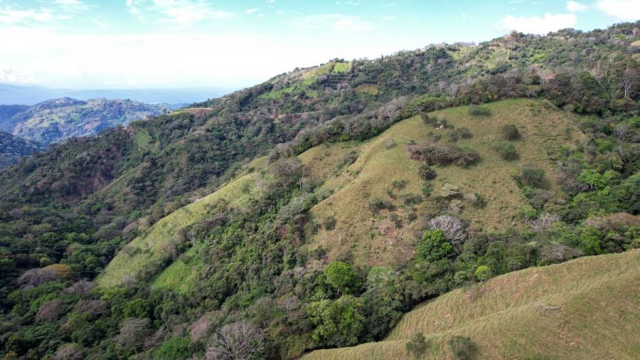 Finca agrícola en venta en Atenas con vistas espectaculares a las montañas