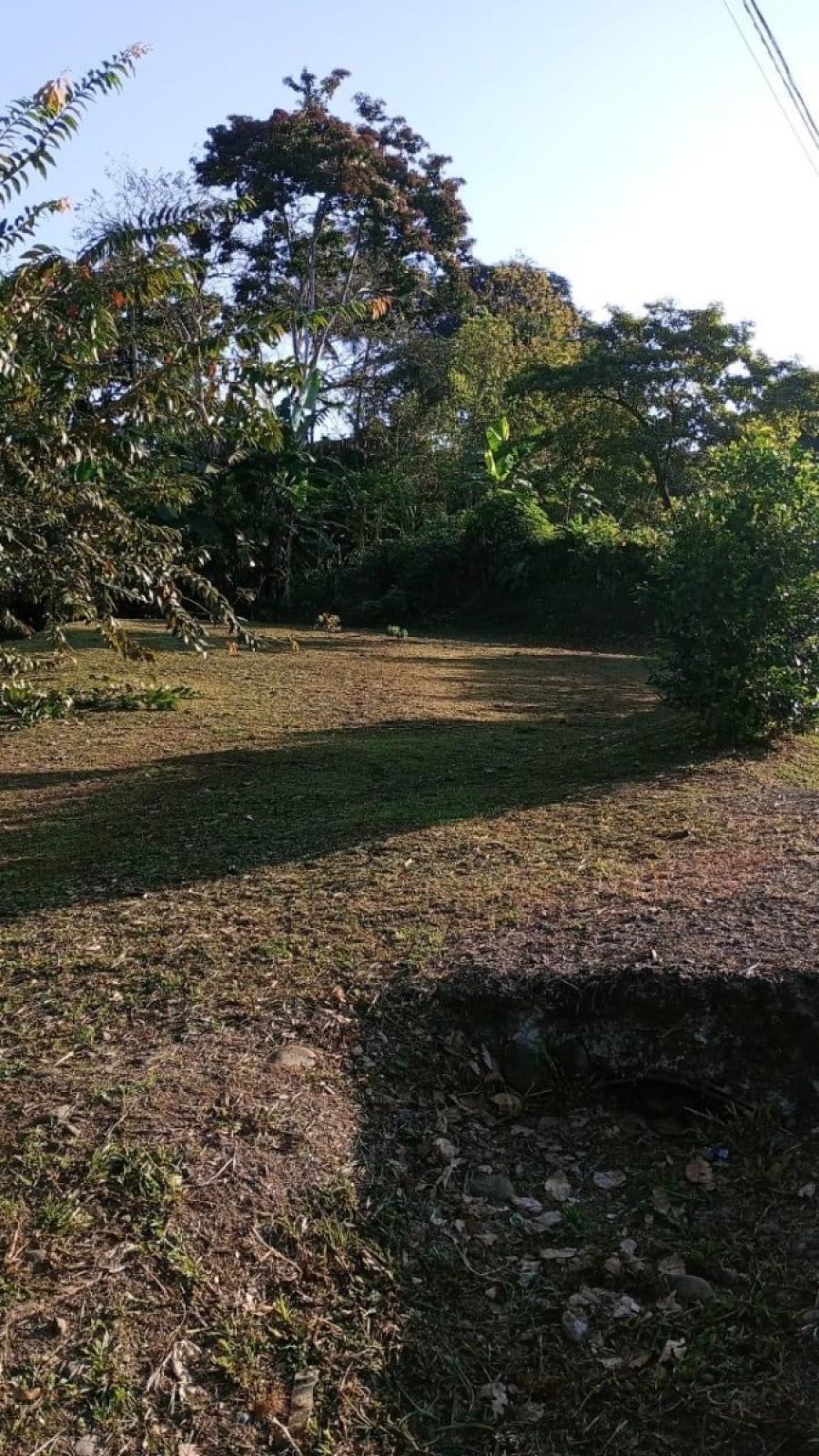 Foto Terreno en Venta en Sarapiquí, Heredia - ¢ 12.000.000 - TEV100271 - BienesOnLine