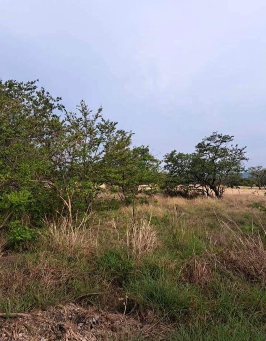 Foto Terreno en Venta en Bagaces, Guanacaste - ¢ 7.000.000 - TEV103949 - BienesOnLine