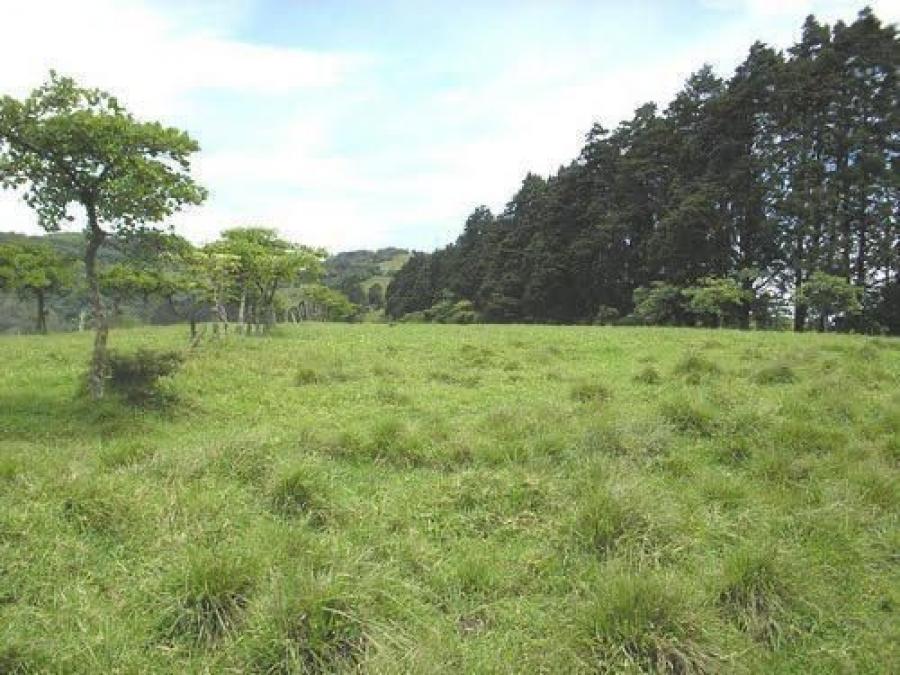 Foto Terreno en Venta en San Nicolás, Cartago - U$D 6.000.000 - TEV108172 - BienesOnLine