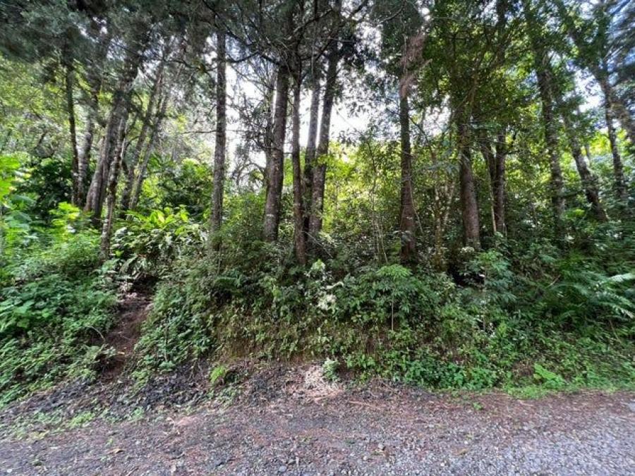 Se vende amplio lote con 1,097m2 en San José de la Montaña 25-145