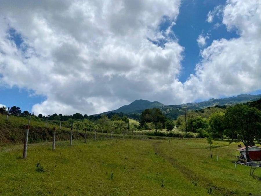 Se vende finca de 14.9 Hectáreas en Santa Barbara Heredia 23-2274