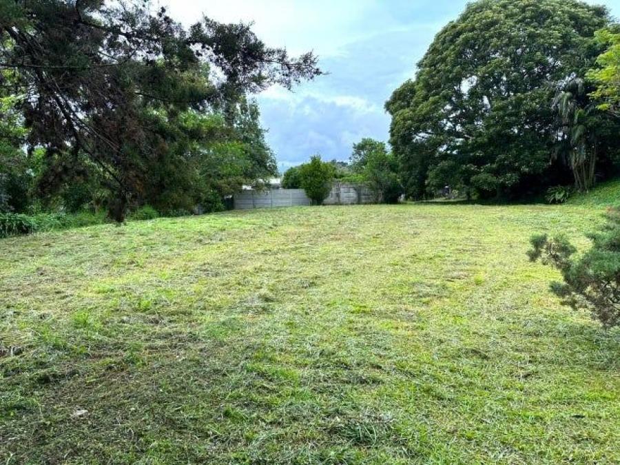 Se vende amplio lote de 1,05 Hectáreas de San Isidro Heredia 25-361