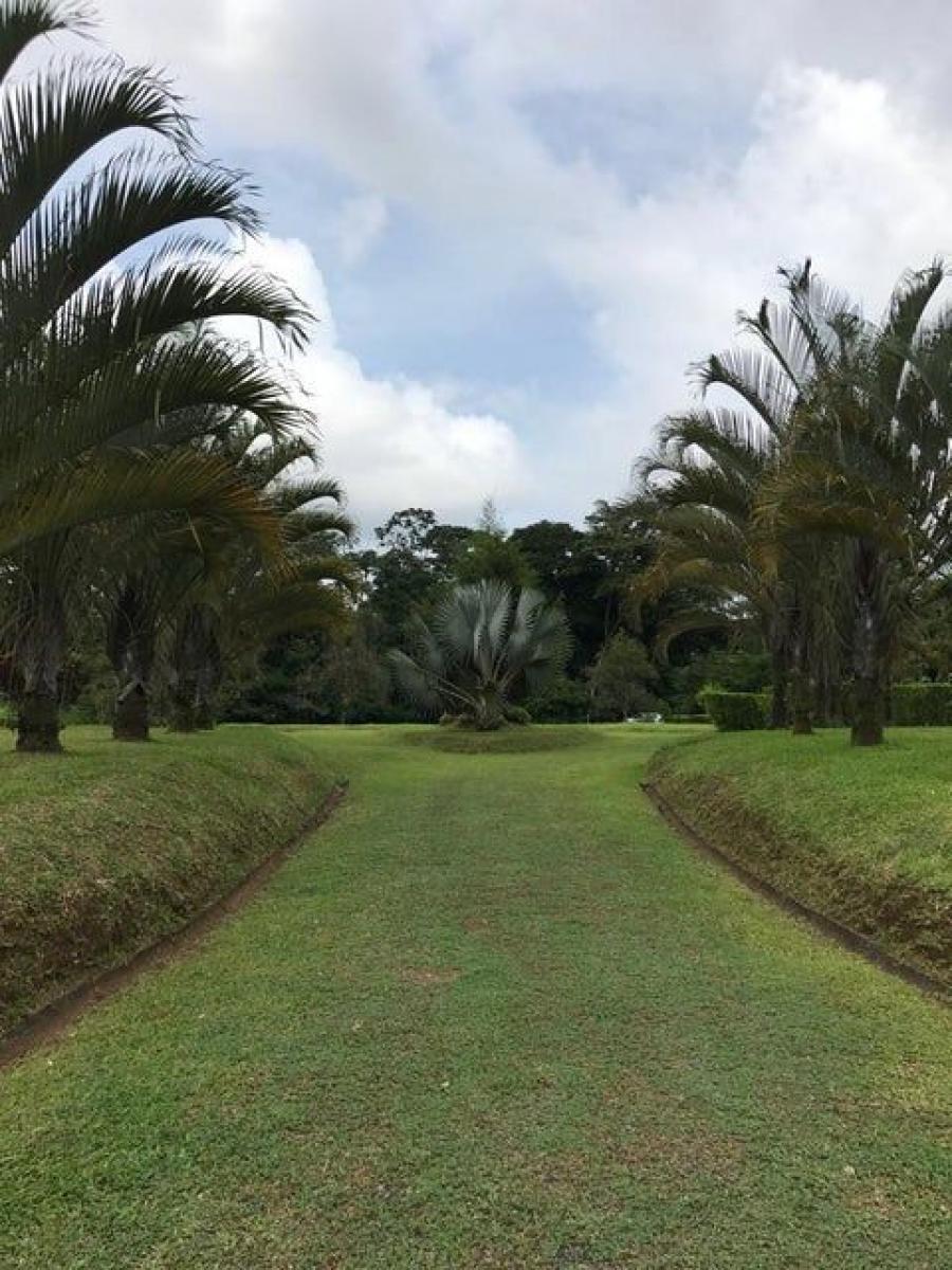 Foto Terreno en Venta en Guácimo, Limón - ¢ 50.000.000 - TEV108952 - BienesOnLine