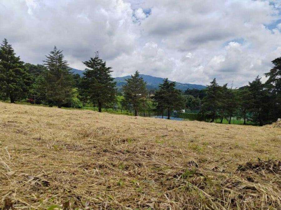 Se vende lote de 7,000m2 en Concepción Heredia 25-583