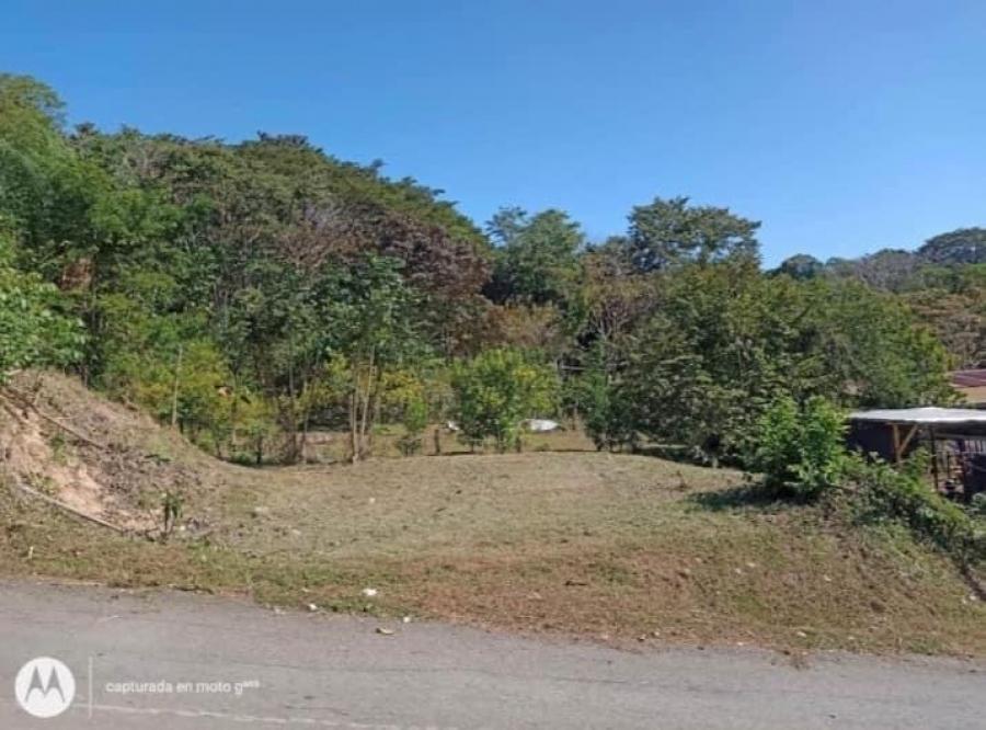 Foto Terreno en Venta en Coyolar, Orotina, Alajuela - ¢ 8.000.000 - TEV109060 - BienesOnLine