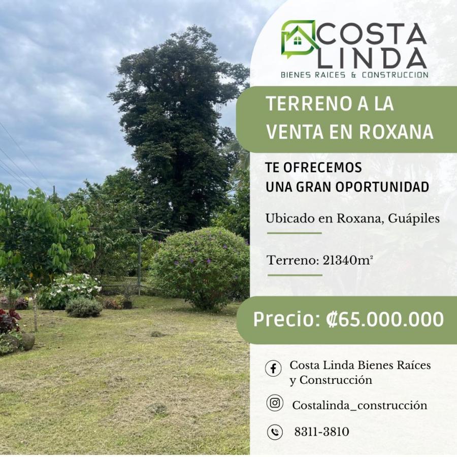 Foto Terreno en Venta en Roxana, Guápiles, Limón - ¢ 65.000.000 - TEV109506 - BienesOnLine