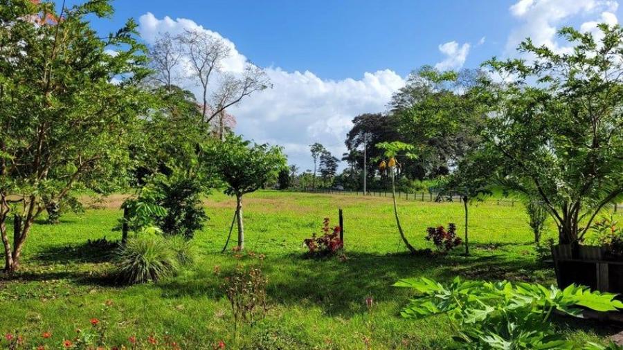 Foto Terreno en Venta en Matama, Limón - U$D 1.800.000 - TEV109943 - BienesOnLine