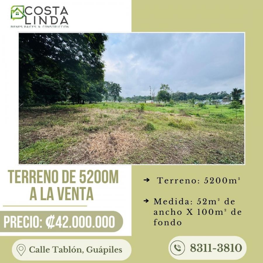 Terreno en Venta en Calle Tablón Guápiles, Limón