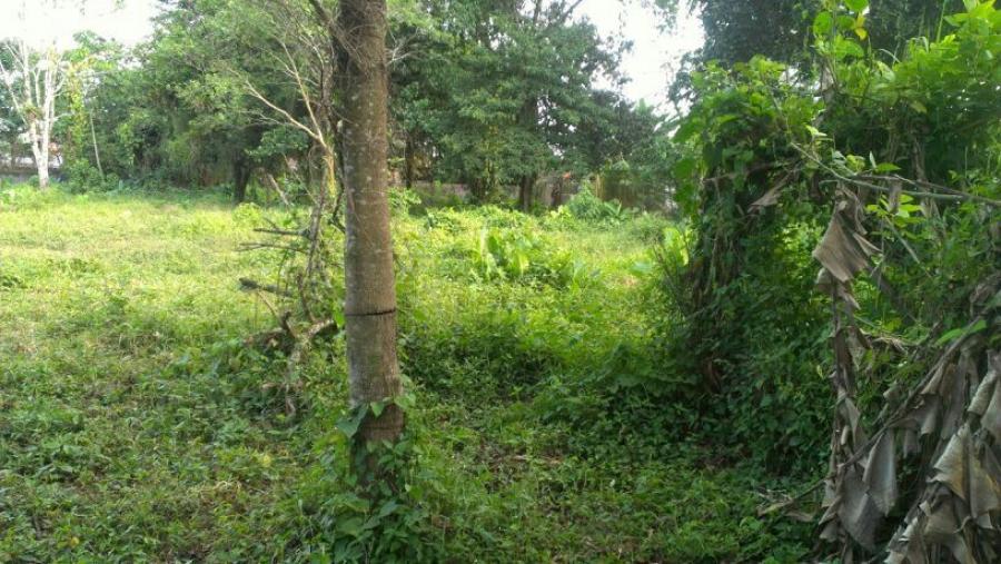 Venta de Lote en Rio Blanco de Guápiles, Limón. 