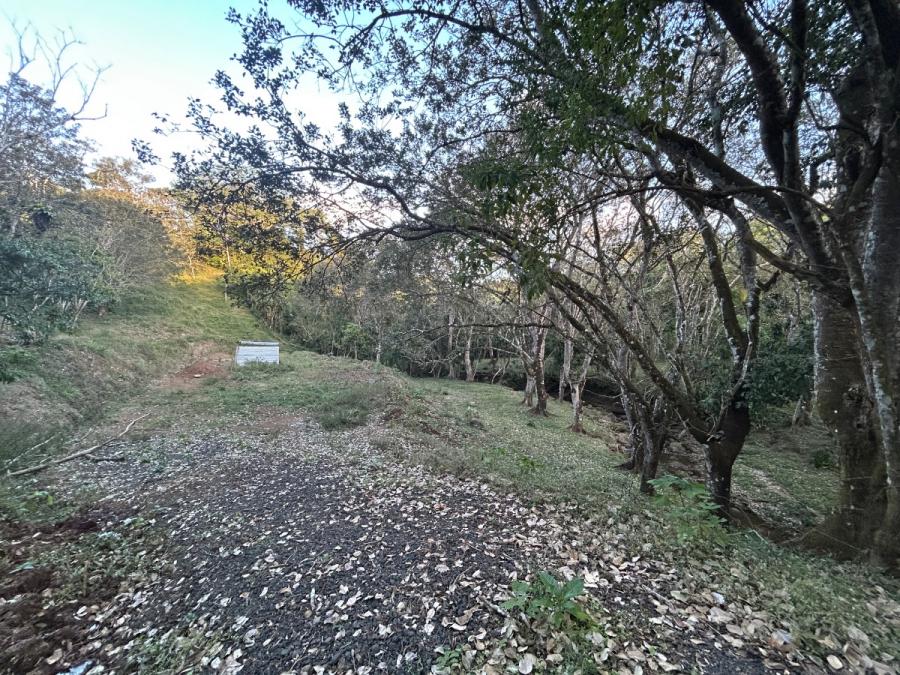 Foto Terreno en Venta en santiago, San Ramón, Alajuela - ¢ 79.000.000 - TEV112470 - BienesOnLine