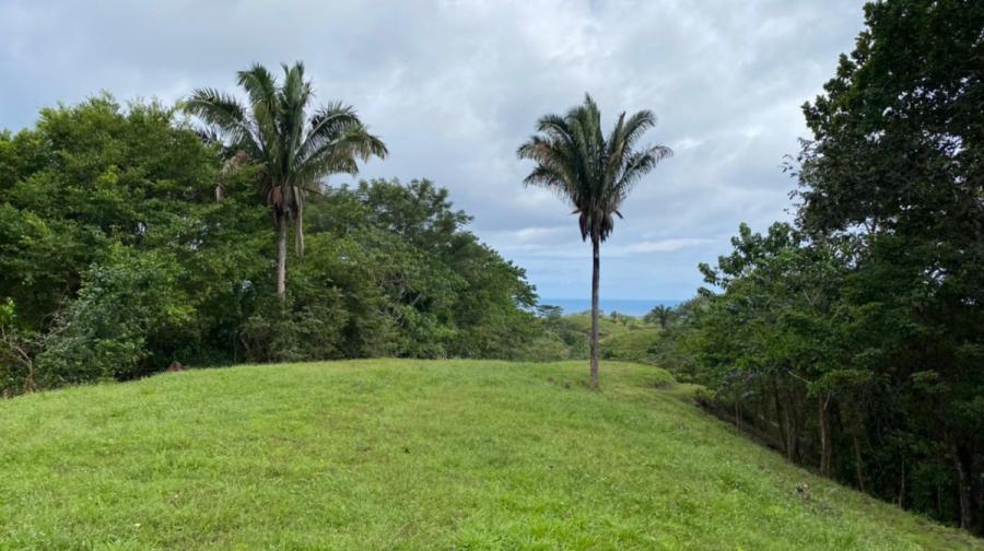 Foto Terreno en Venta en Cóbano, Cobano, Puntarenas - 1 hectareas - U$D 740.000 - TEV64568 - BienesOnLine