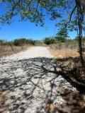 Terreno en Alquiler en  Guácima