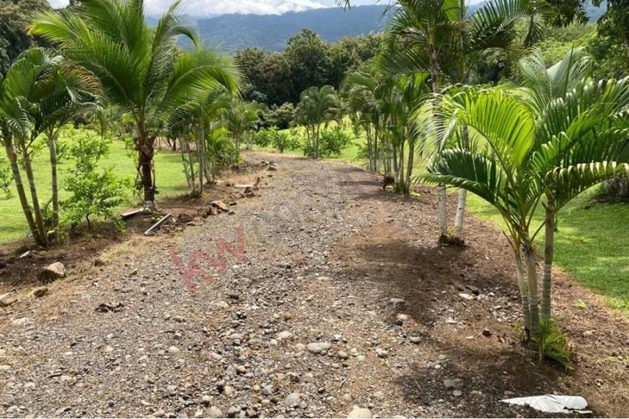 Foto Finca en Venta en Garabito, Puntarenas - U$D 350.000 - FIV99764 - BienesOnLine