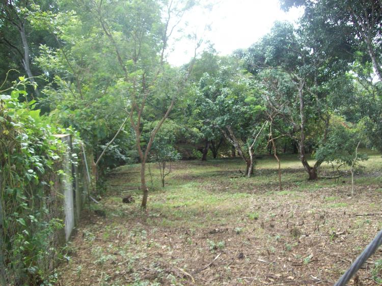 se vende finca cuenta con agua potable, electricidad, sobre autopista hacia Jacó y otras playas